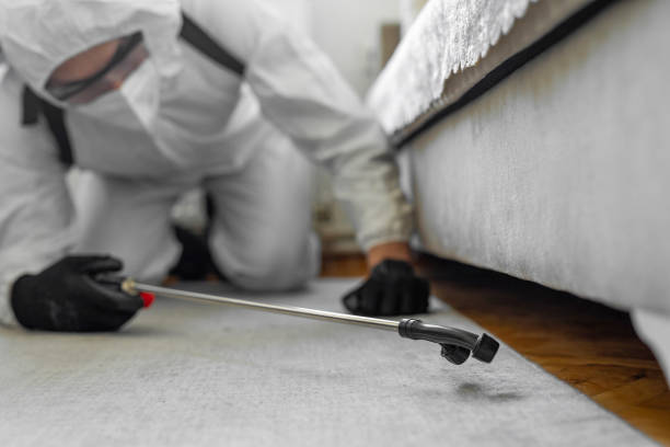 Professional Bed Bug Control technician working in South Yarmouth, MA