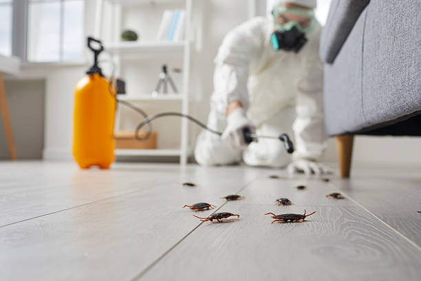 Trusted Fumigation Services service in South Yarmouth, MA - Nex Pest Control