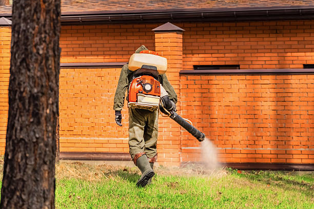 Trusted Mosquito Control service in South Yarmouth, MA - Nex Pest Control